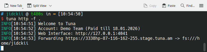 domains-dynamic-hide-ip-off