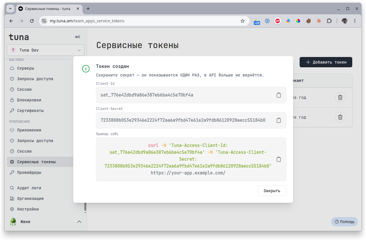 Реквизиты созданного токена