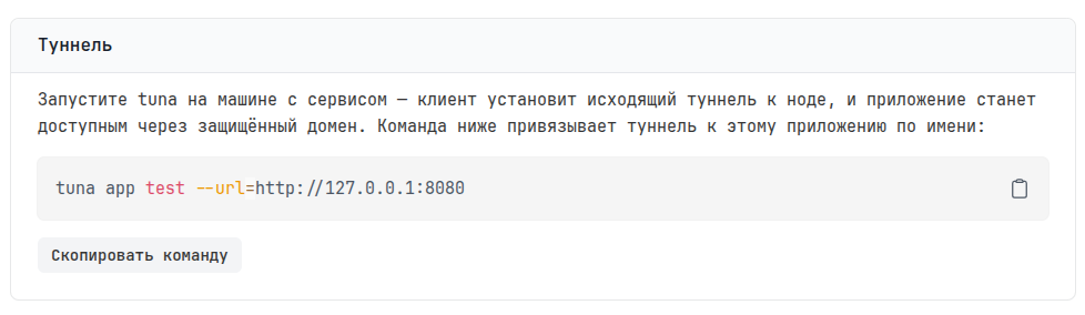 Команда для запуска туннеля