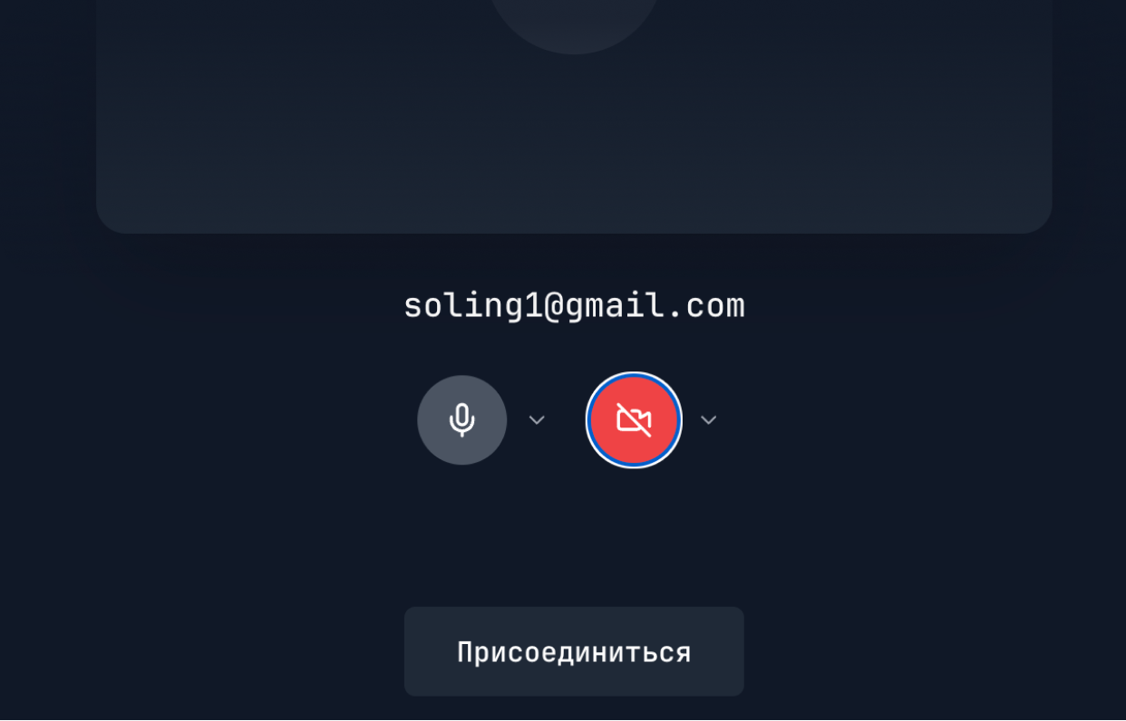 Окно настройки микрофона и камеры перед подключением