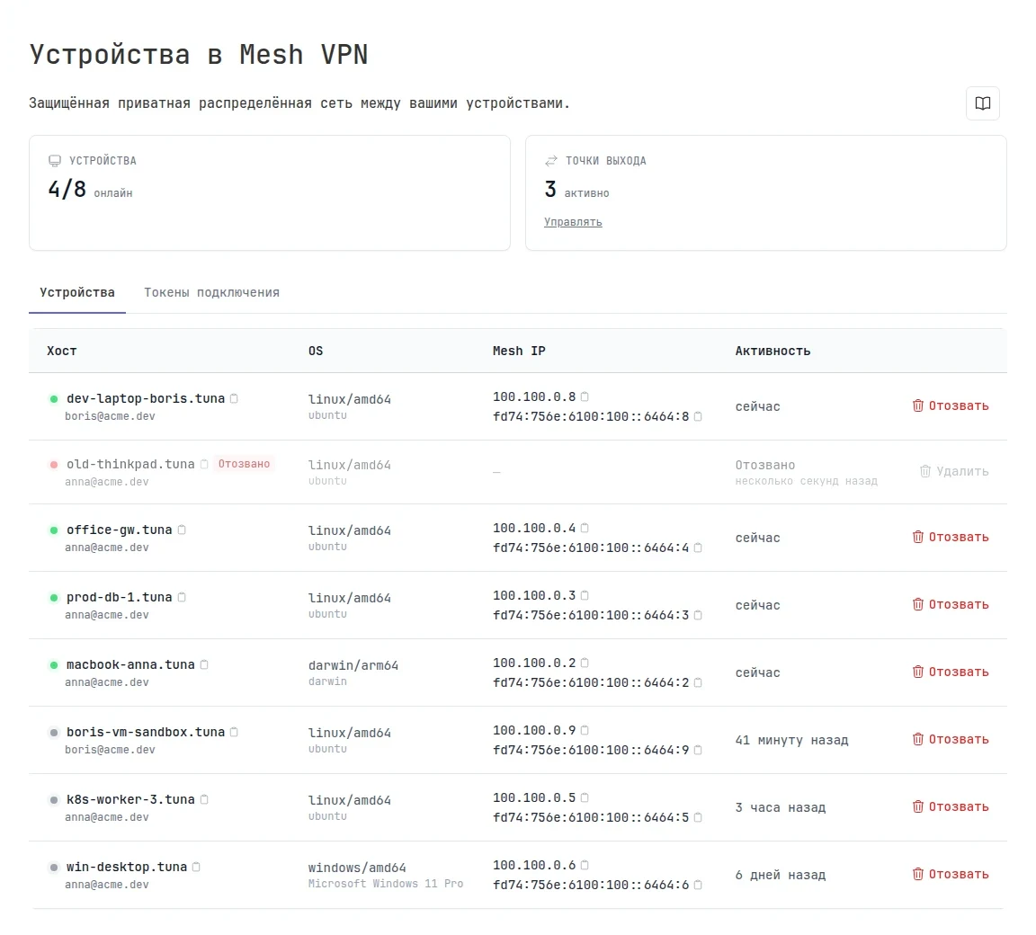 Раздел «Устройства в Mesh VPN»: счётчики устройств онлайн и точек выхода, список устройств всех участников