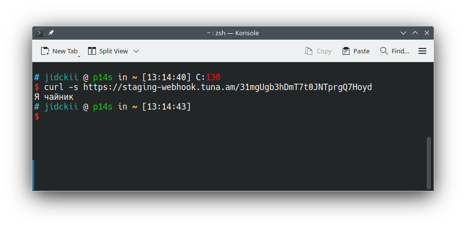 webhook_terminal